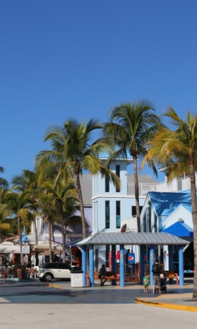 Escape from Miami to Fort Myers for an Unforgettable Experience