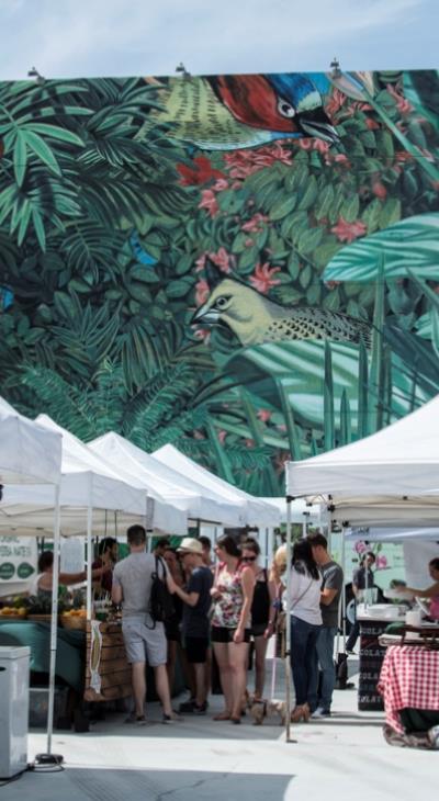 The Market at #MDD - Farmers Market at Miami Design District every Wednesday