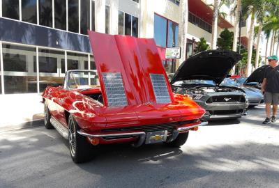 Miami Exotic and Classic Car Show